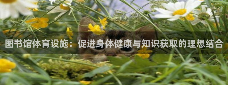 尊龙官网免费下载安装