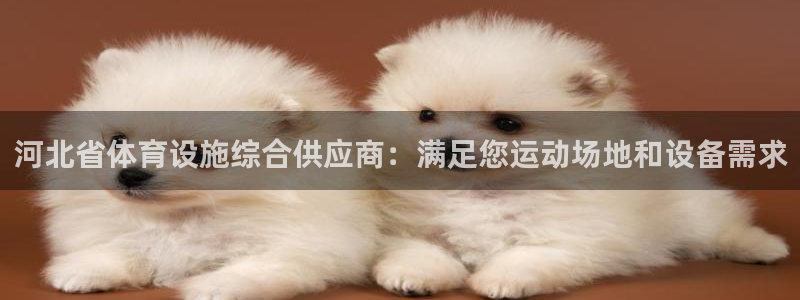 尊龙ag旗舰厅官网·(中国)官方入口