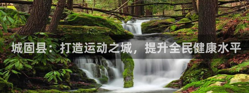 尊龙游戏官网游戏特色