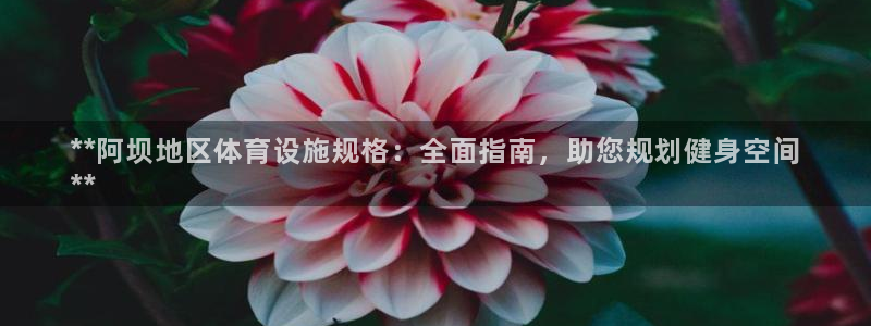 尊龙凯时下载链接