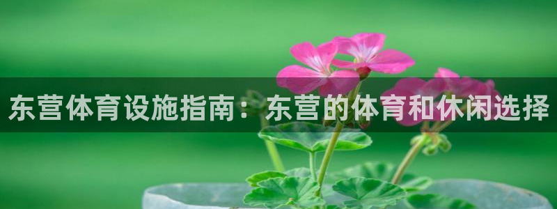 z6com尊龙凯时代理