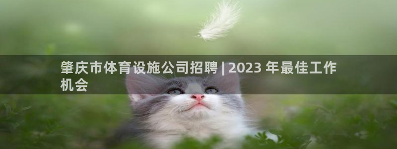 尊龙d88官网选RA来就送38
