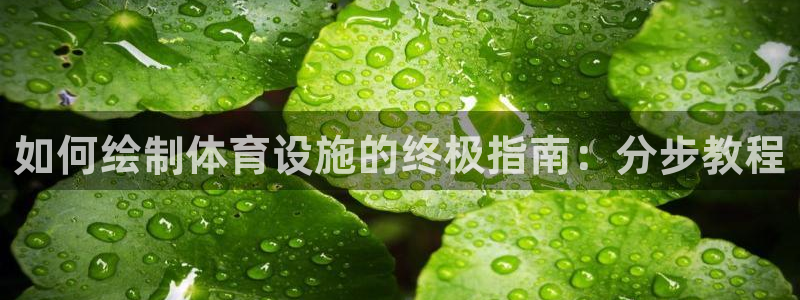 尊龙凯时人生就是搏 品牌专区