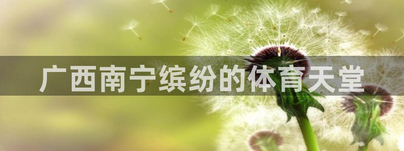 尊龙凯时官网
