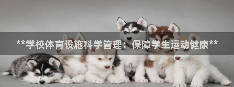 尊龙凯时品牌介绍