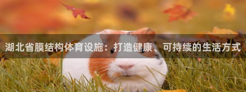 尊龙是什么软件
