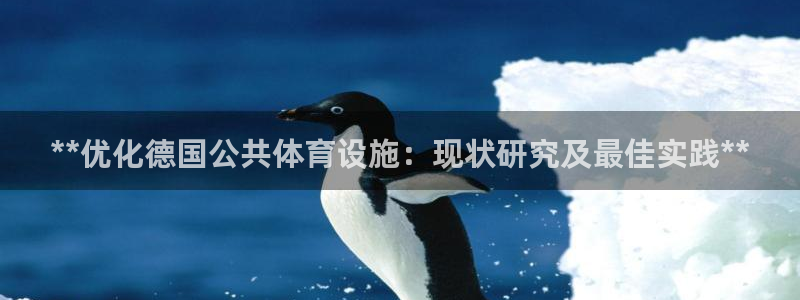 尊龙人生就是博旧版现金娱乐一下