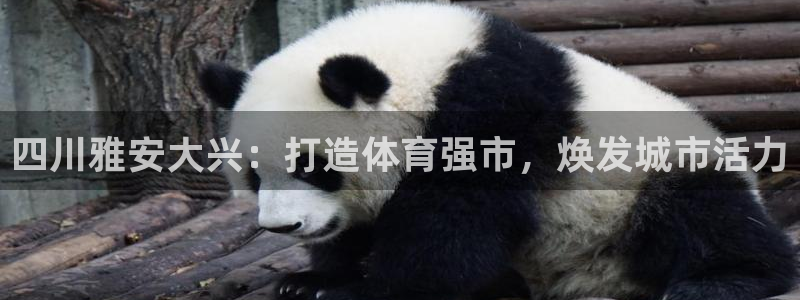 尊龙人生就要博旧版