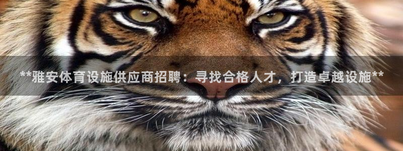 尊龙游戏官网