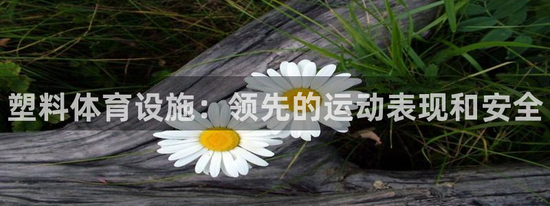 凯时ag旗舰厅