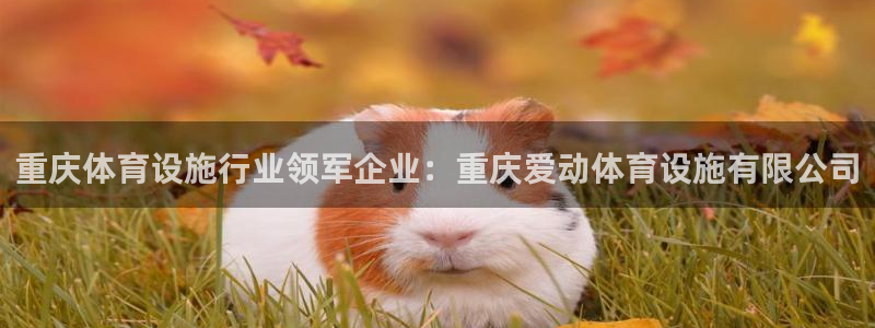 尊龙凯时老板是谁