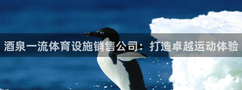 尊龙官网地址