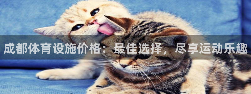 凯时国际官方版