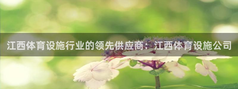 z6尊龙凯时官方