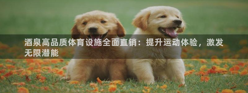 尊龙凯时平台入口