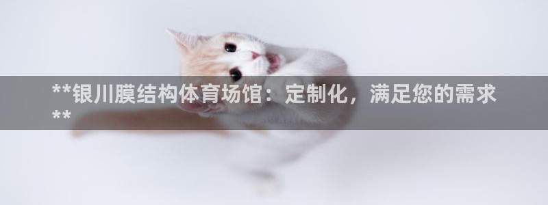 尊龙服饰品牌介绍