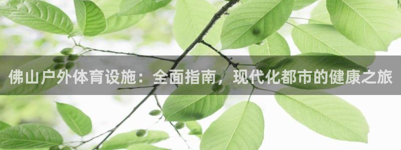 尊龙500价格