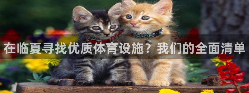 kb88凯时SO权威AG发财网