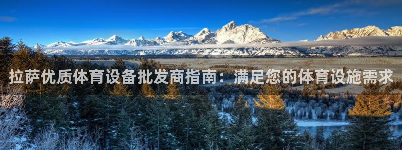 尊龙官网手机版下载