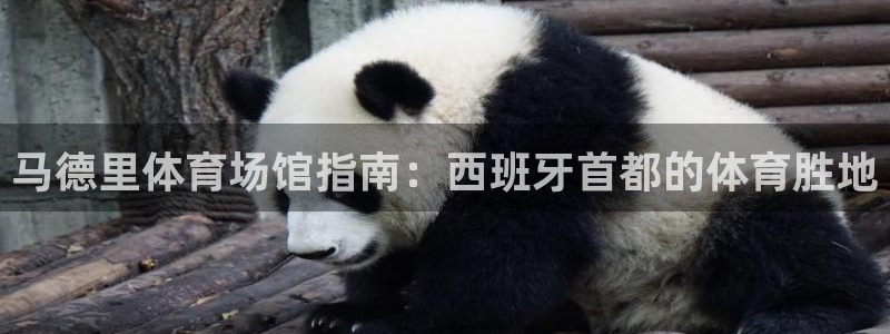 尊龙人生就是博i可靠吗