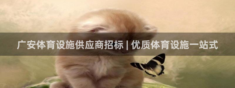 尊龙凯时俱乐部