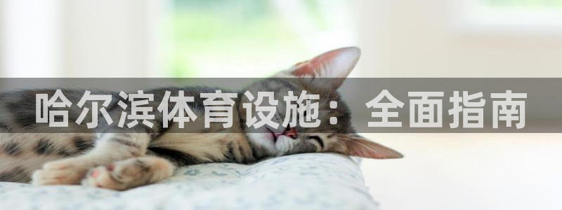 尊龙凯时取款一直支付中