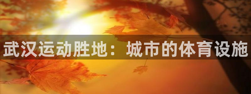 尊龙凯时平台还是万搏好