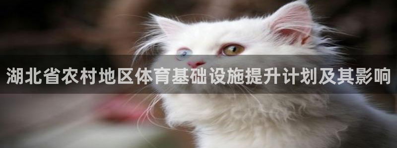 尊龙凯时平台正规吗