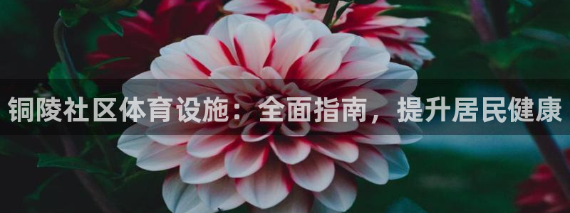 尊龙凯时最新平台登陆