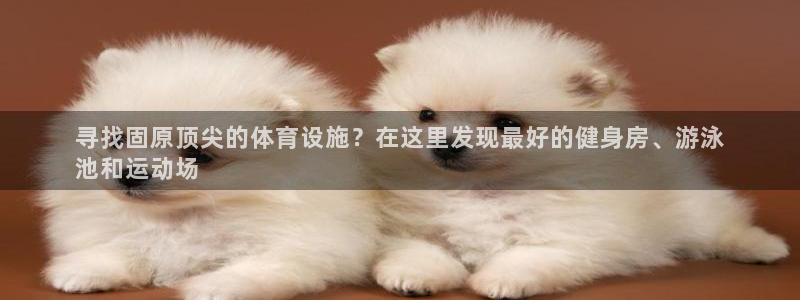 尊龙人生就是博菲律宾台子