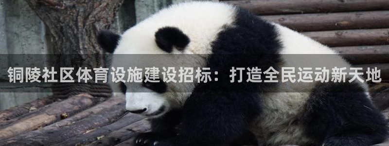 凯时国际平台有人赢吗