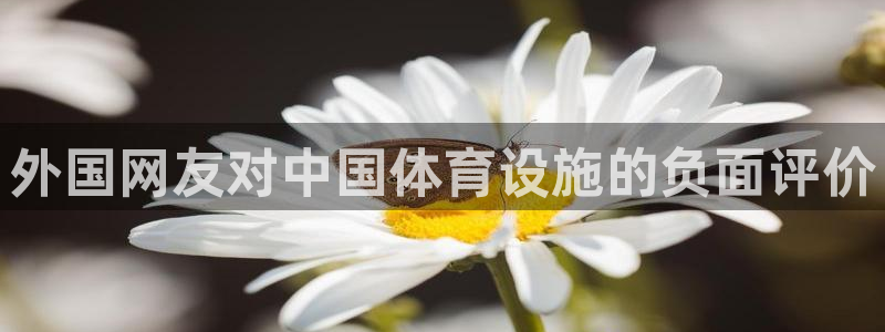 尊龙d88官网登录苹果版下载