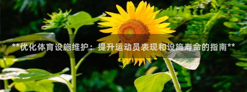 尊龙d88官网可靠送38元