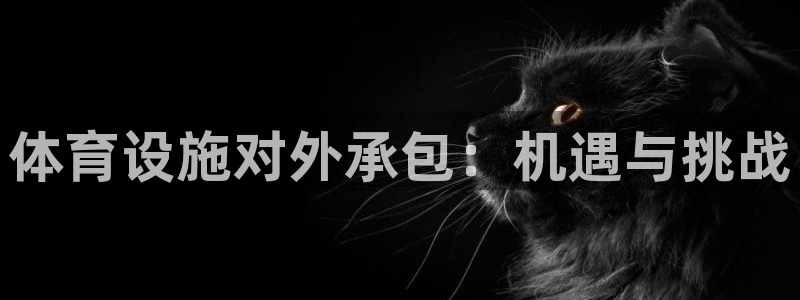 尊龙凯时输了100万