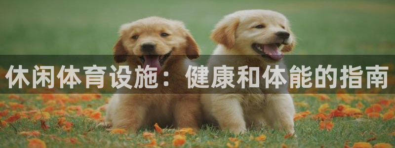 尊龙集团有限公司官网地址