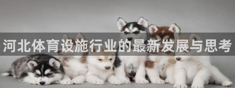 国际凯时ag优质运营商