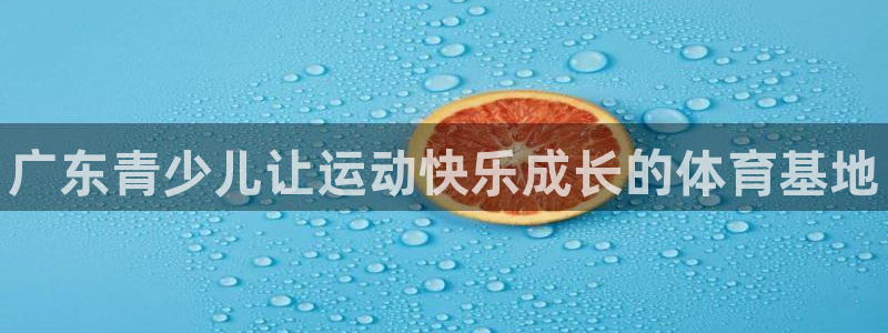 尊龙凯时ag旗舰厅官