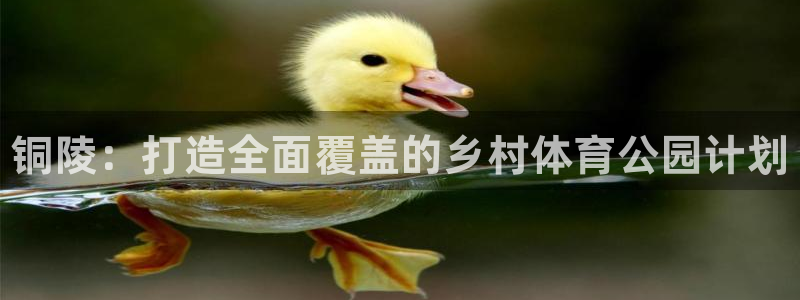 尊龙—人生就是博