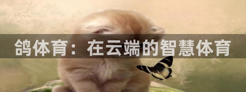 尊龙凯时平台信誉怎样