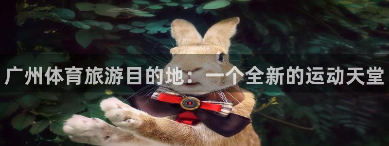 尊龙物流怎么样