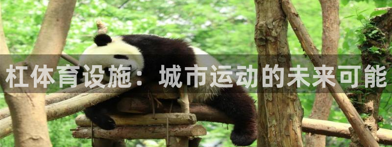 尊龙体育正规么