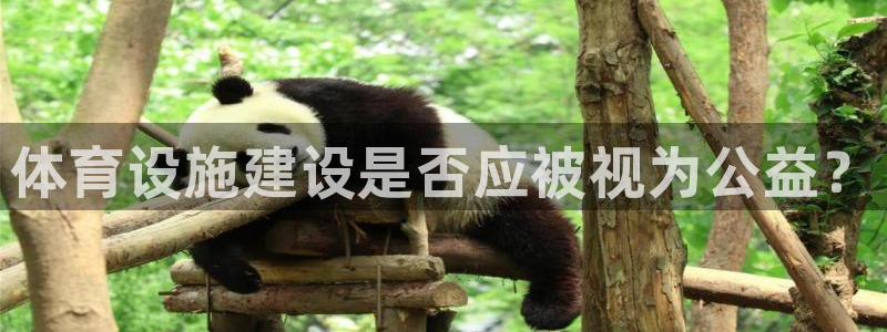 尊龙凯时网站赌愽是真的吗